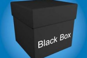 Голосование в черном ящике